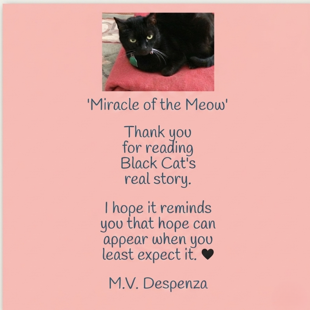 Miracle of the Meow Doublesided Bookmark